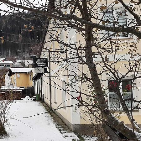 Haus Peter Apartment Murau Exterior photo