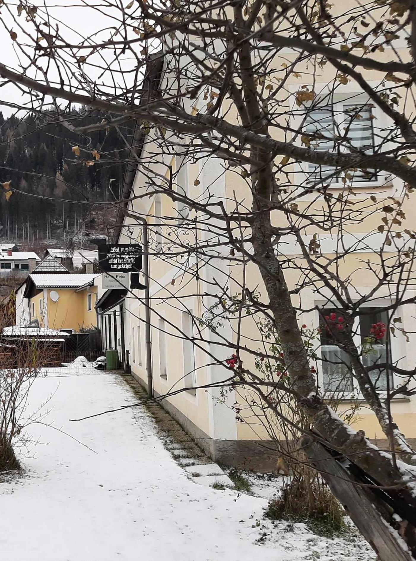 Haus Peter Apartment Murau Exterior photo